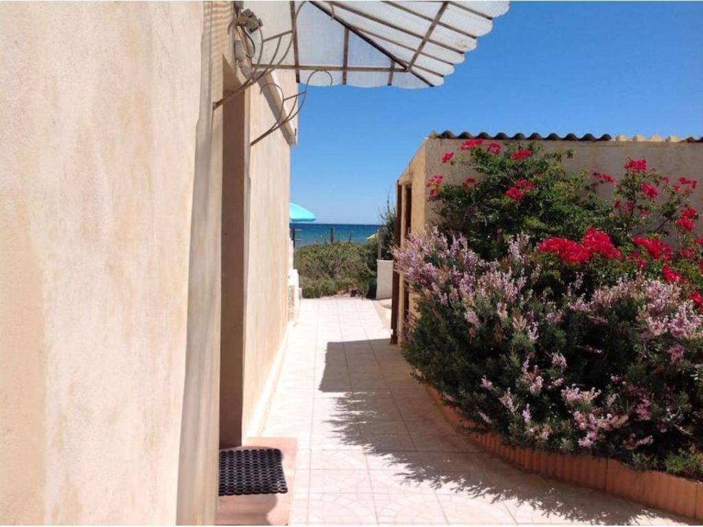 Apartamento Studio suréquipé les pieds dans l'eau Hyères Exterior foto